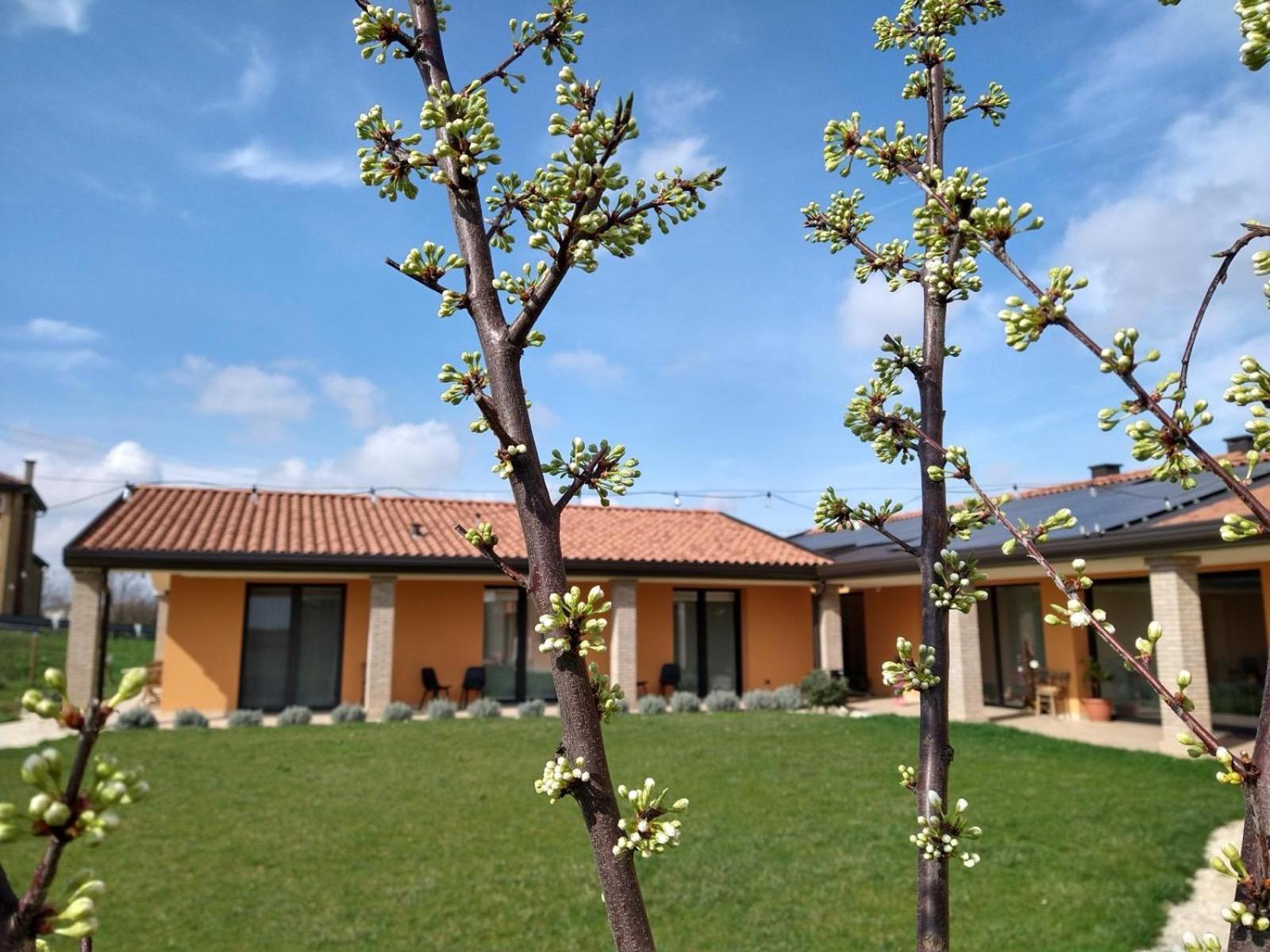 Agriturismo Verdecielo Падуя Номер фото